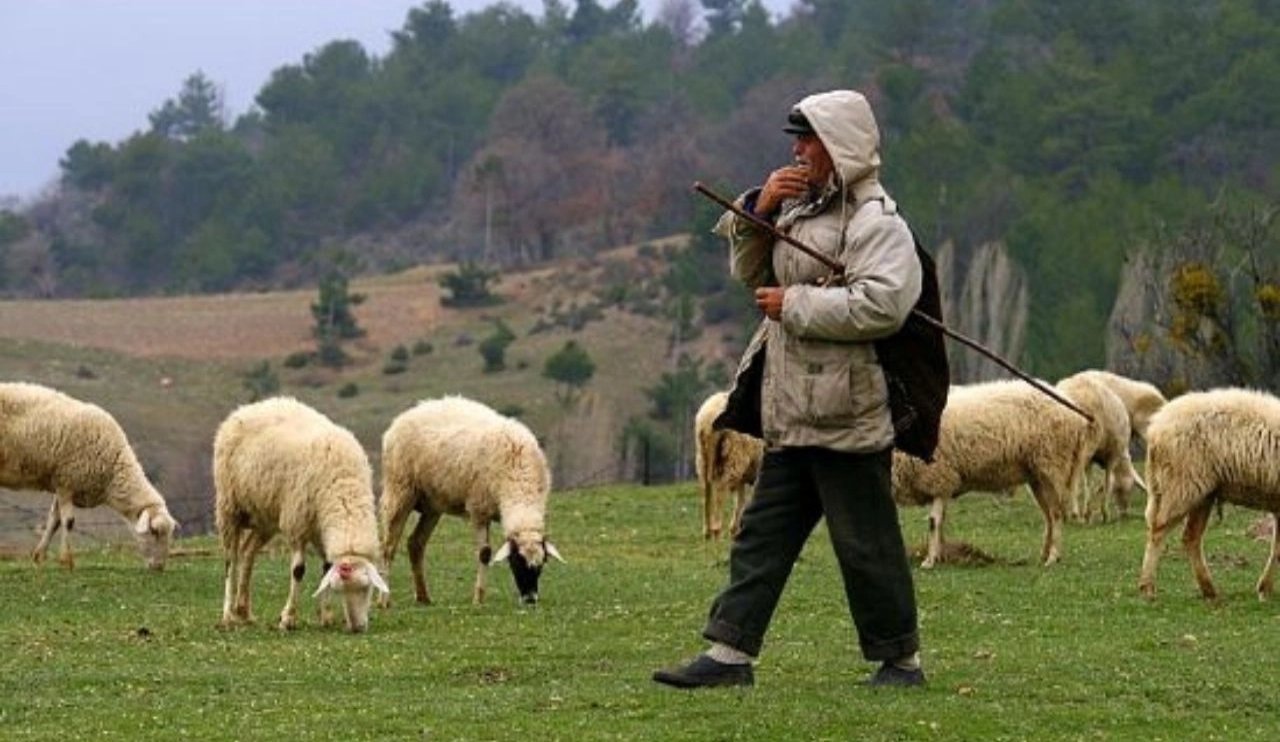 Çobanlar için 30 bin lira destek!