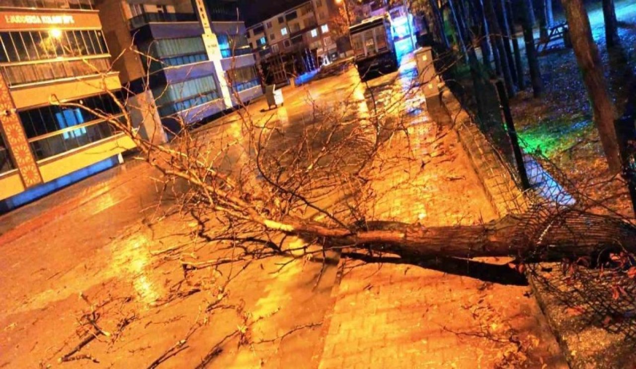 Konya'da fırtına ağaçları devirdi! Yol kapandı...