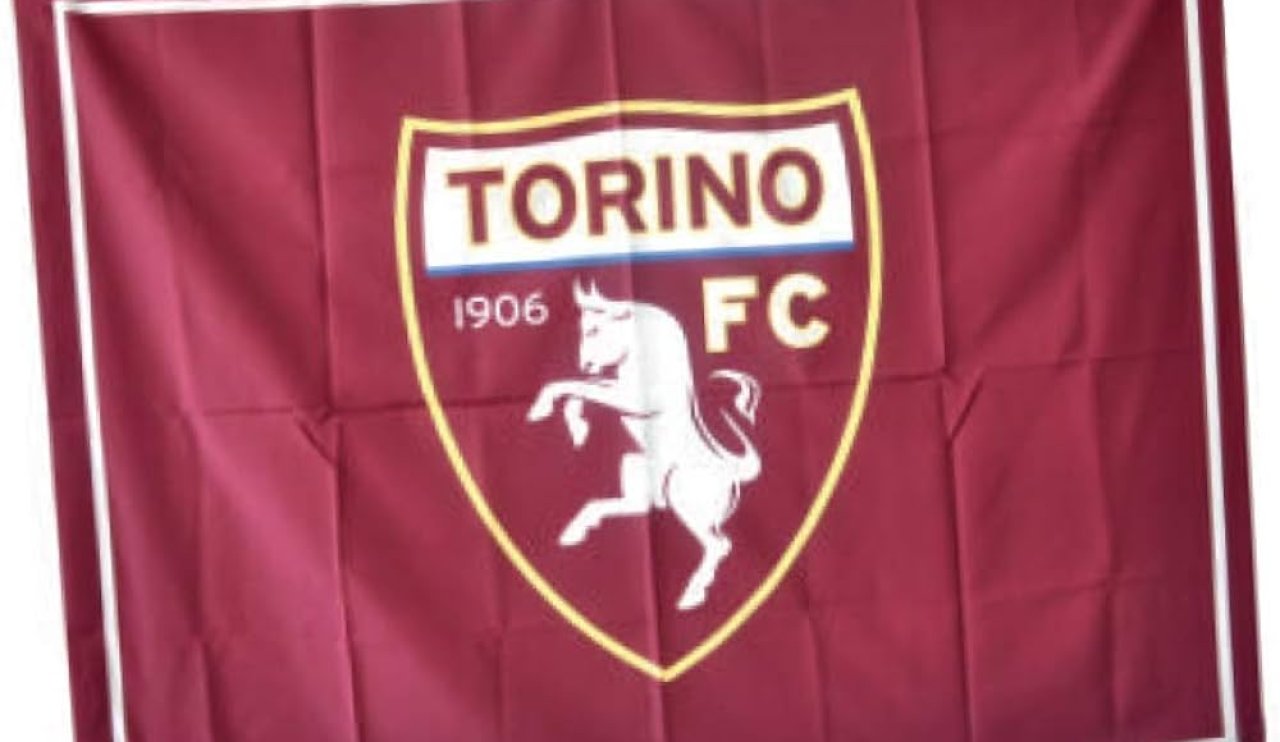 Torino F.C hangi ligde?