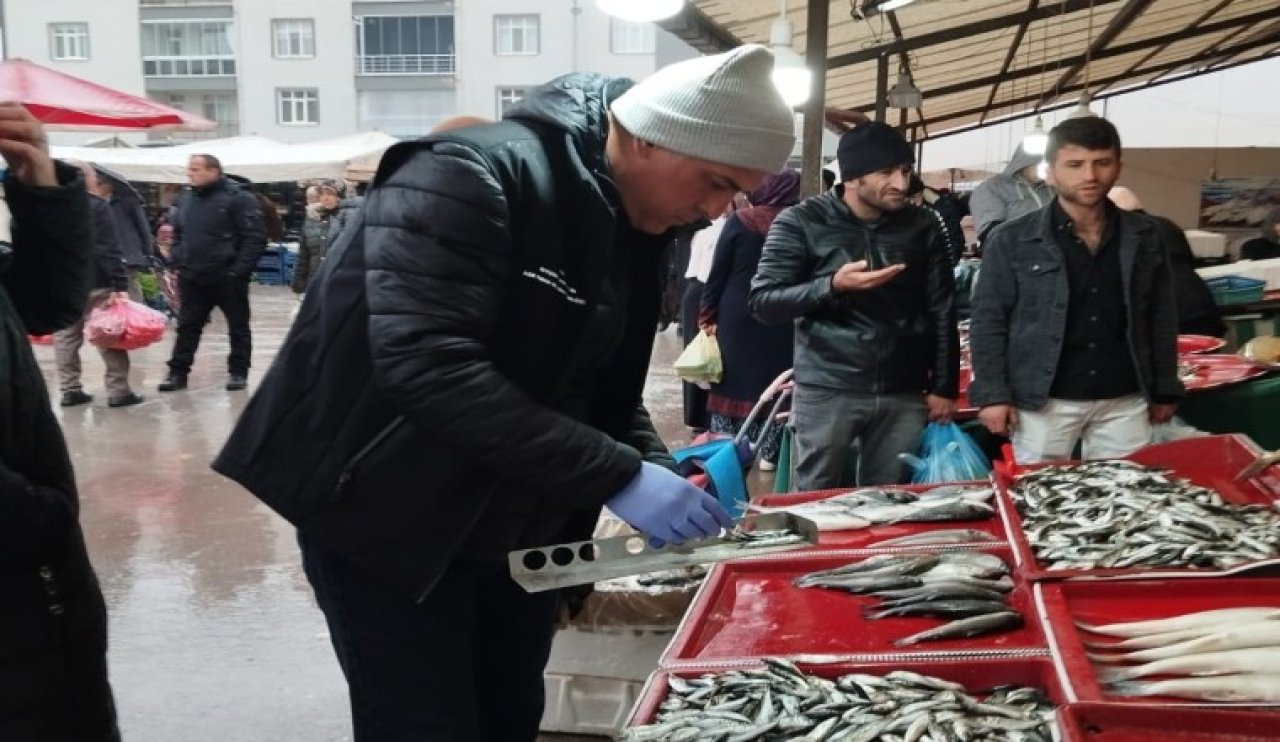 Beyşehir'de Boy Limiti Altında Balık Satışı Yapanlara Ceza Uygulanıyor
