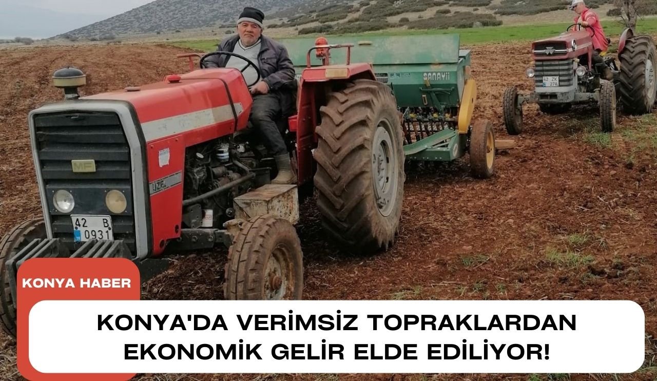 Konya'da verimsiz topraklardan ekonomik gelir elde ediliyor!