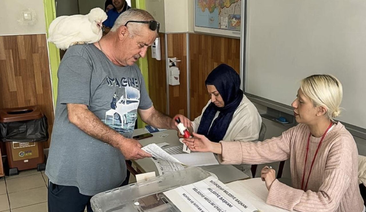 İstanbul'da bir vatandaş beraberindeki süs tavuğuyla oy kullandı