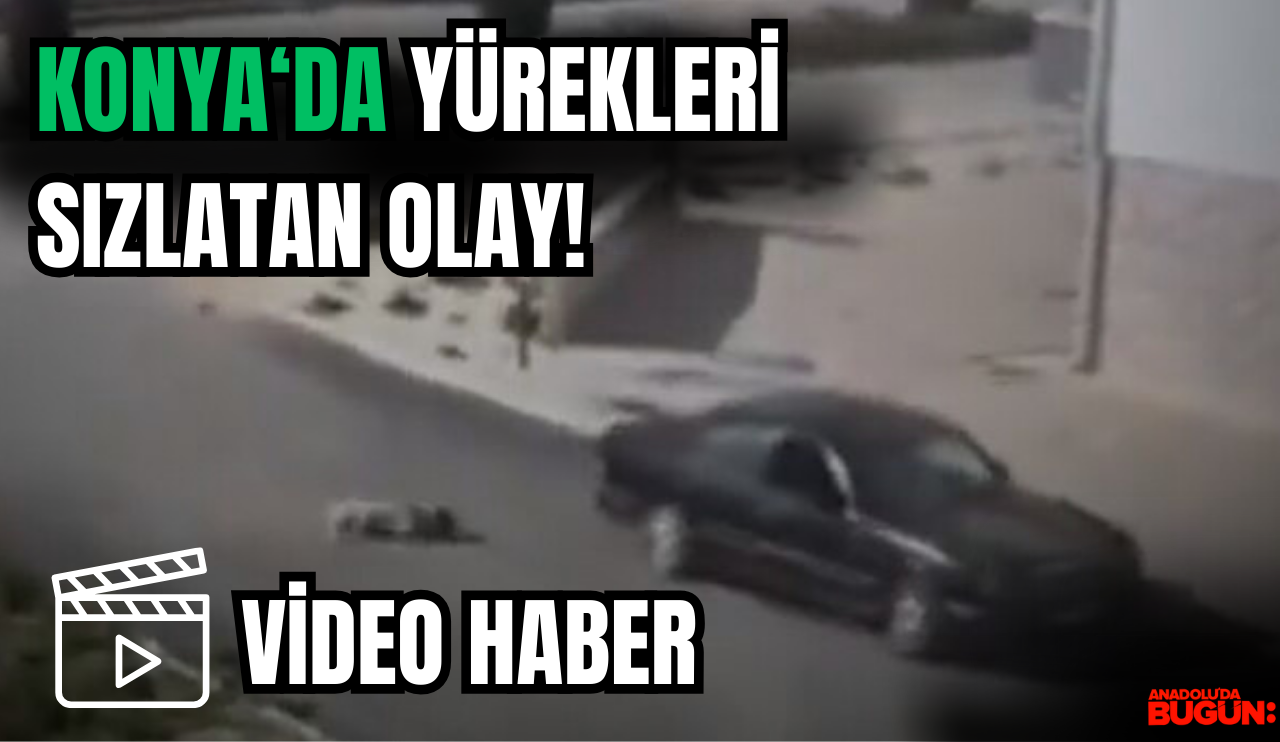 Konya'da köpeği sürükleyen caniye Emniyet'ten müdahele! [VİDEO HABER]