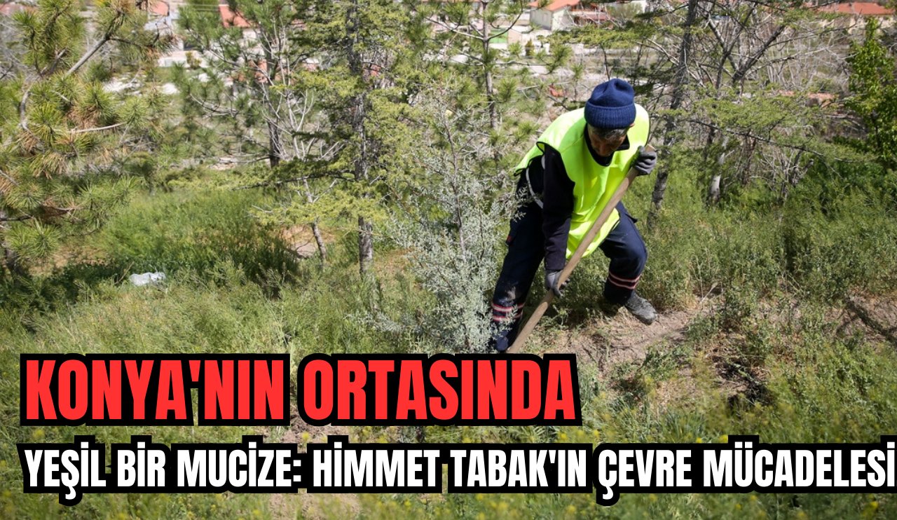 Konya'nın  ortasında yeşil bir mucize: Himmet tabak'ın çevre mücadelesi!