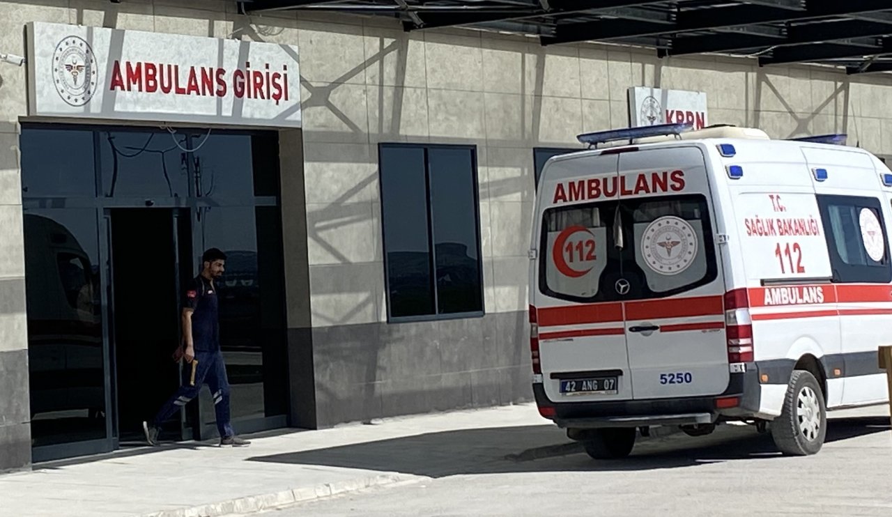 Konya'da talihsiz kaza! Mantar toplarken hastanelik oldu...