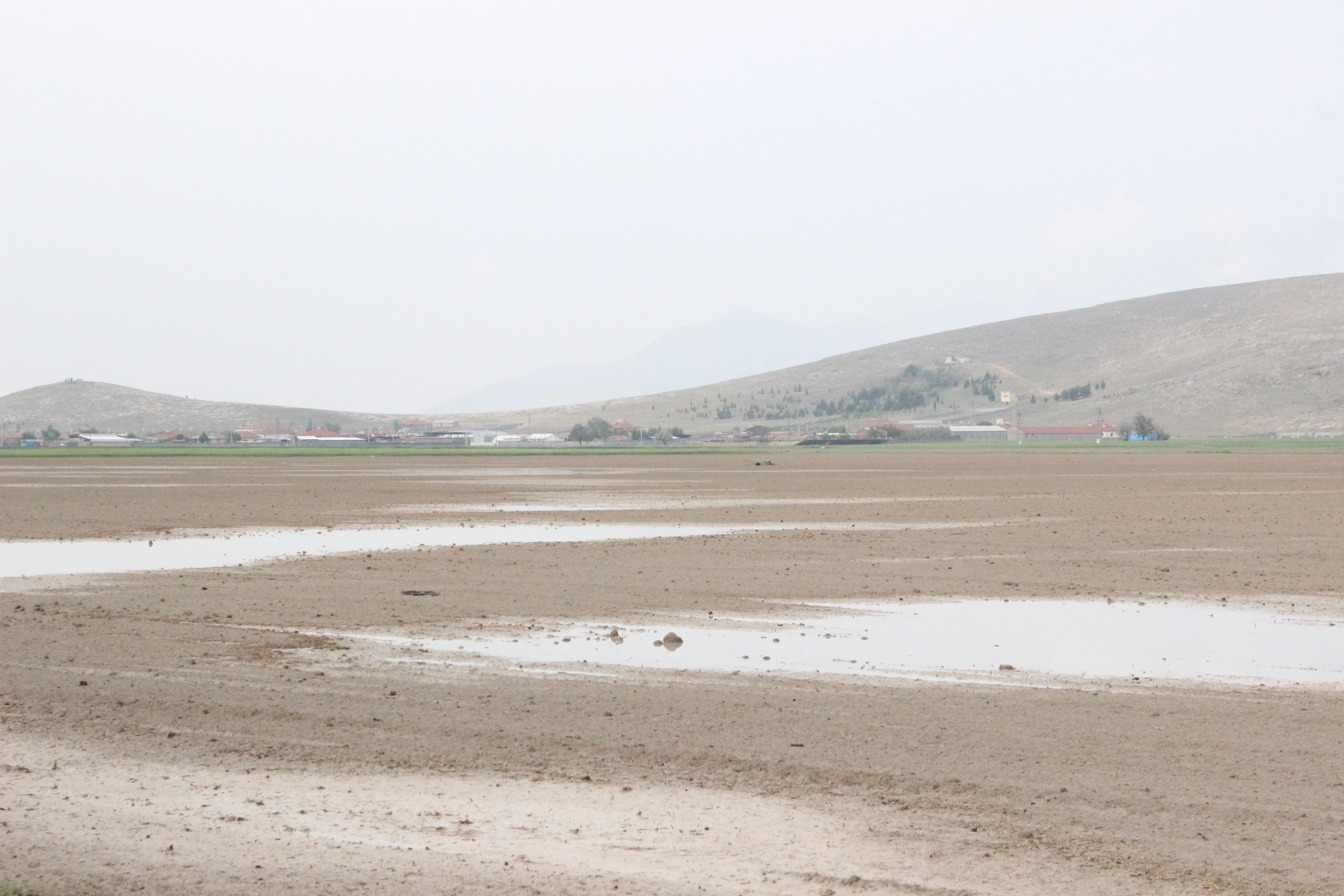 Karaman'da şiddetli yağan dolu ekili arazilere zarar verdi!