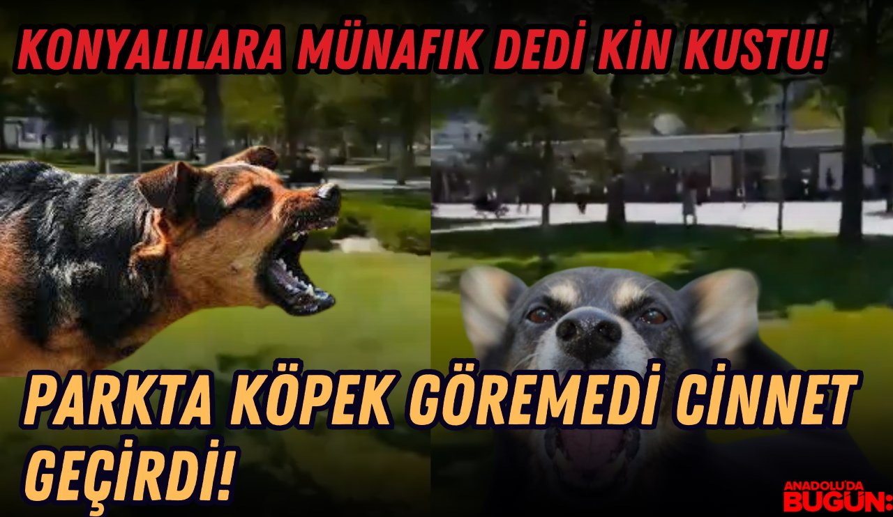 Konya'da parkın içinde başıboş köpek göremeyen sözde dernek gönüllüsü şahıs çılgına döndü [VİDEO HABER]