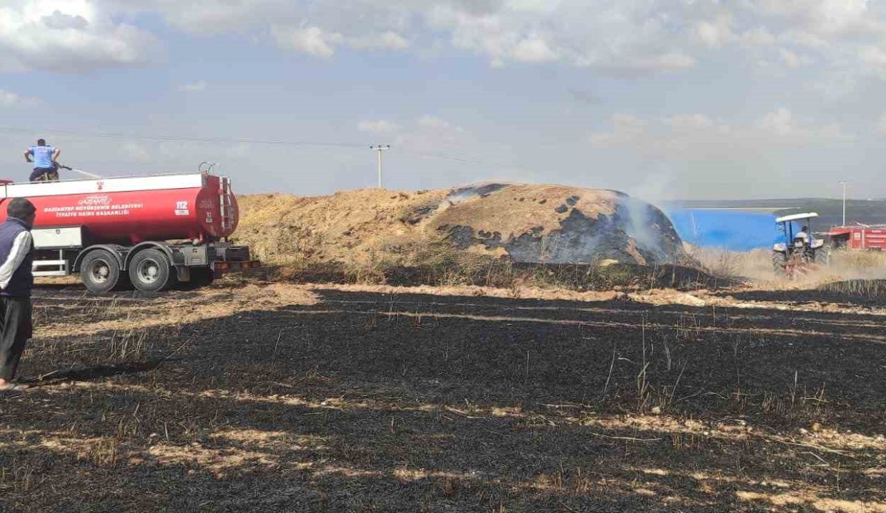 Hasat yaparken tarla birden küle döndü! Bakın nedeni neymiş...