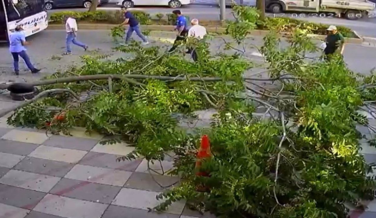 Korku dolu anlar böyle kaydedildi: Kırılan ağaç dalı caddeye..