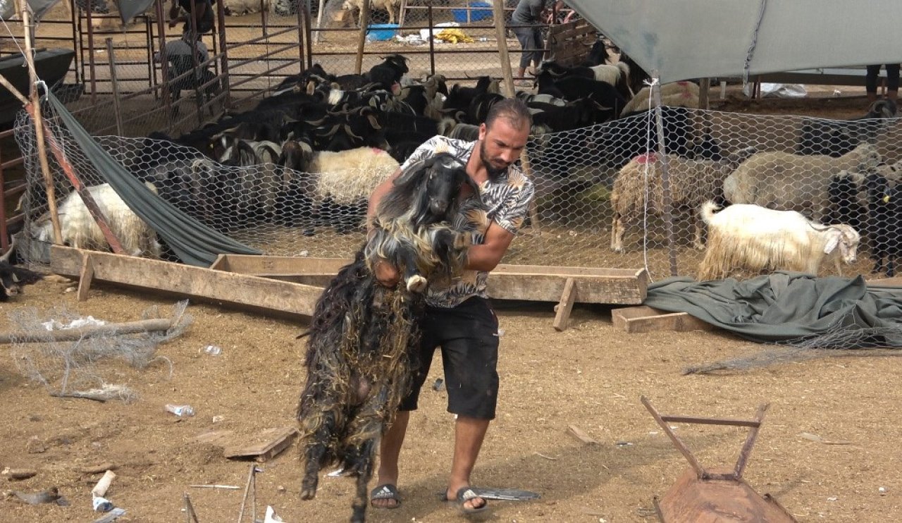 Kurban pazarında dehşet: Metal canavar pazara daldı 8 yaralı 20 hayvan telef!