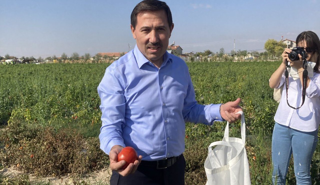 Belediyeler arasında bir ilk! Karatay Belediyesi Ata tohumuyla üretiyor: Atadan geleceğe!