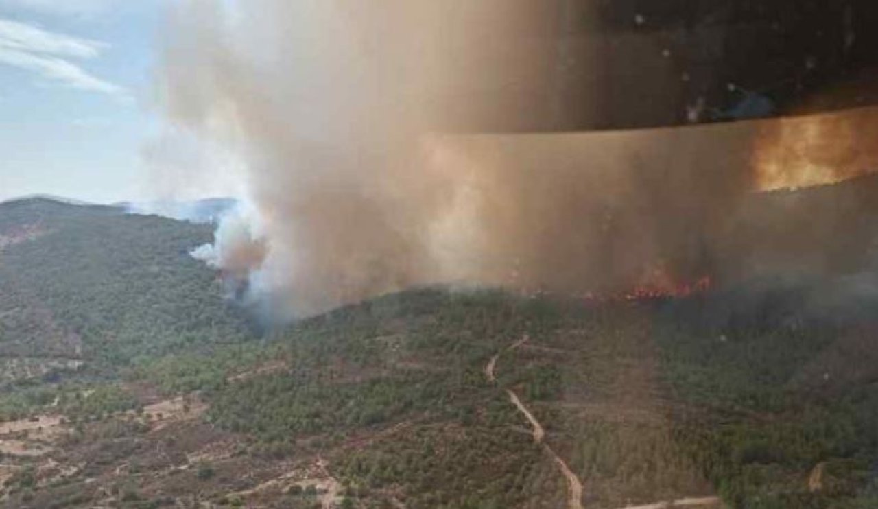 İzmir'de yangın alarmı: Çöplükten ormana sıçradı!