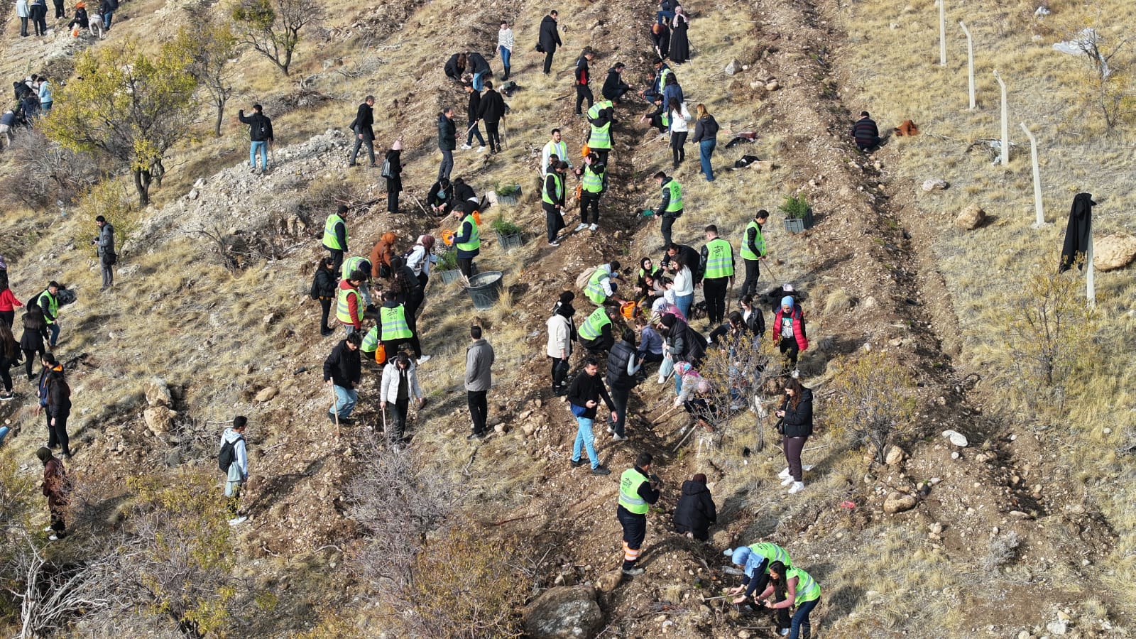 Konya'da ağaçlandırma için pedal çevrildi