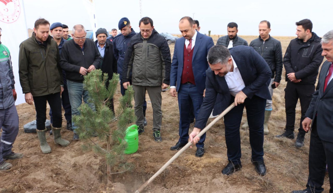 Konya Yunak'ta fidan dikim heyecanı