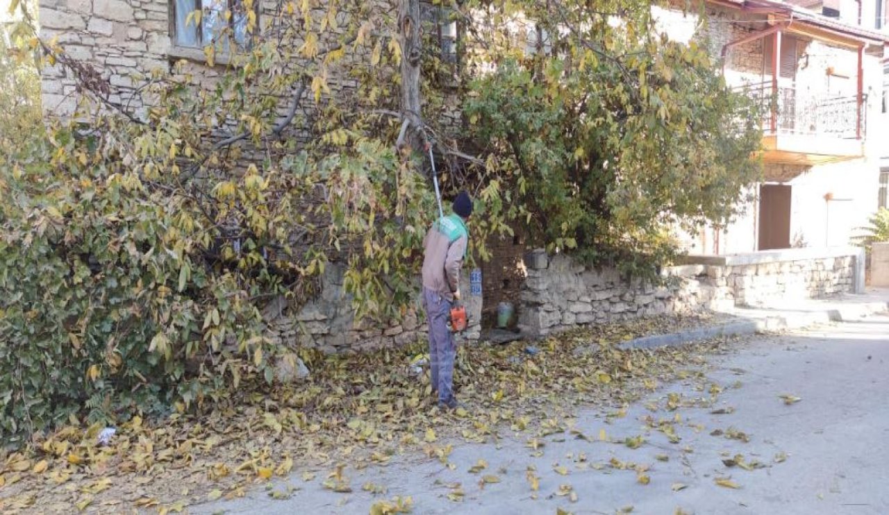 Konya'da ağaç budama çalışmaları başladı