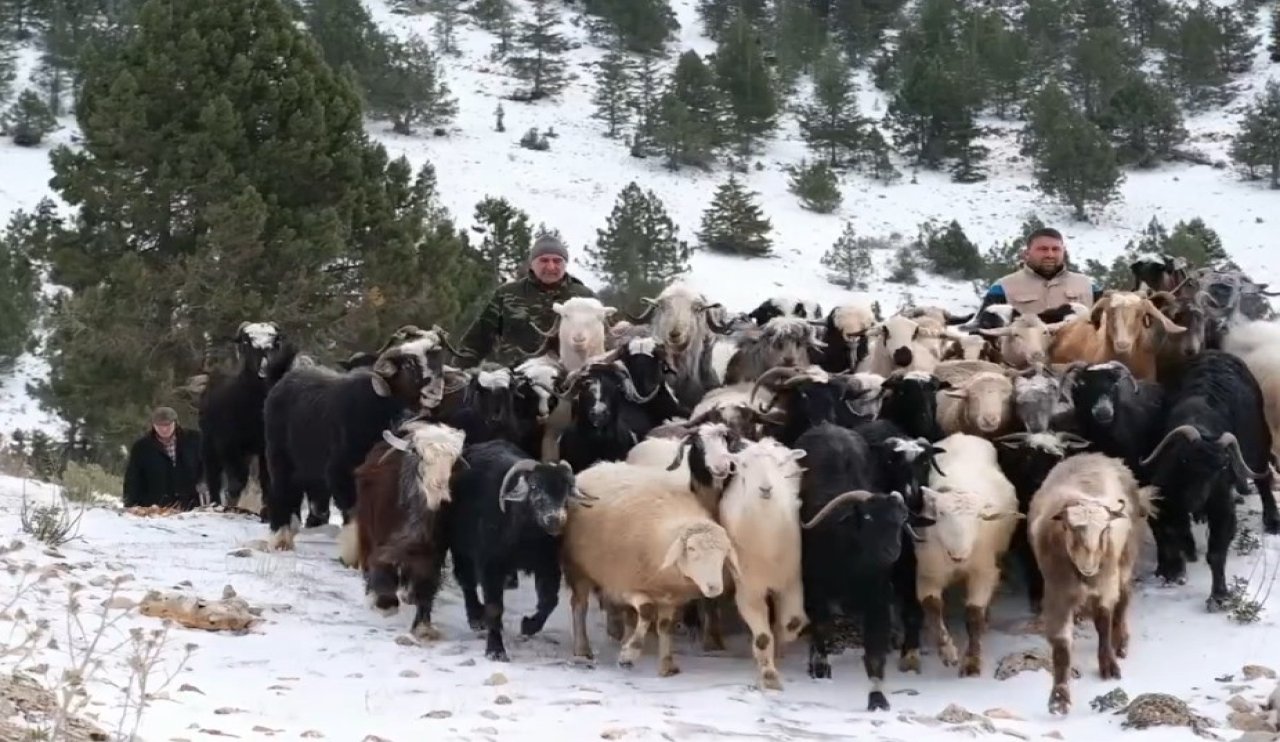 Konya'da 3 besici yaylada mahsur kaldı