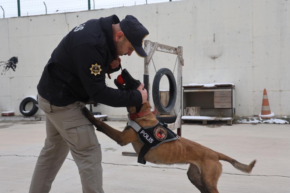 Konya’da narkotik köpeklerden uyuşturucuya darbe