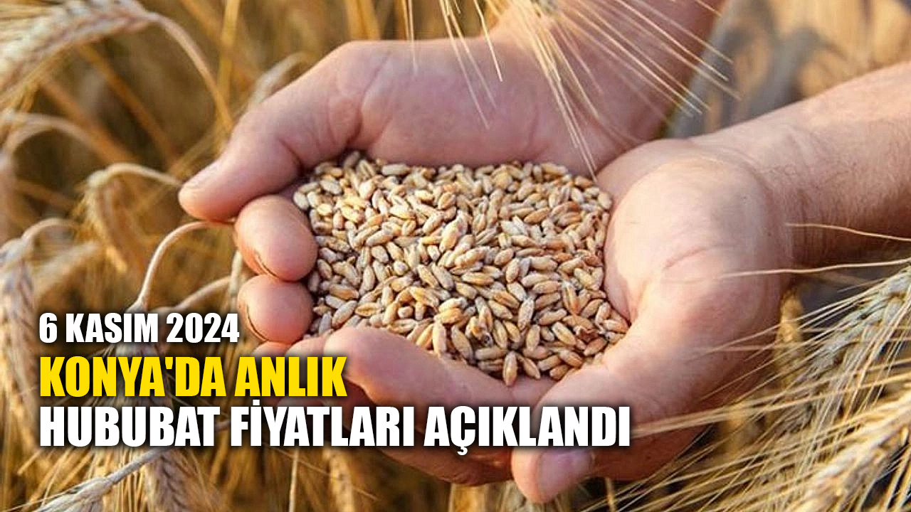 Konya'da anlık hububat fiyatları açıklandı (06.12.2024)