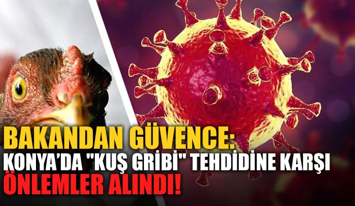 Bakandan güvence: Konya’da "Kuş Gribi" tehdidine karşı önlemler alındı!