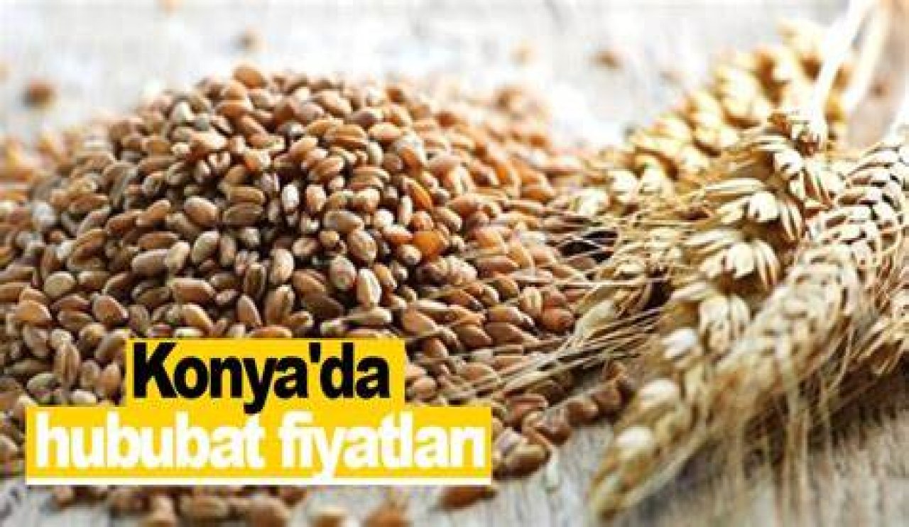 Konya'da anlık hububat fiyatları açıklandı (25.12.2024)