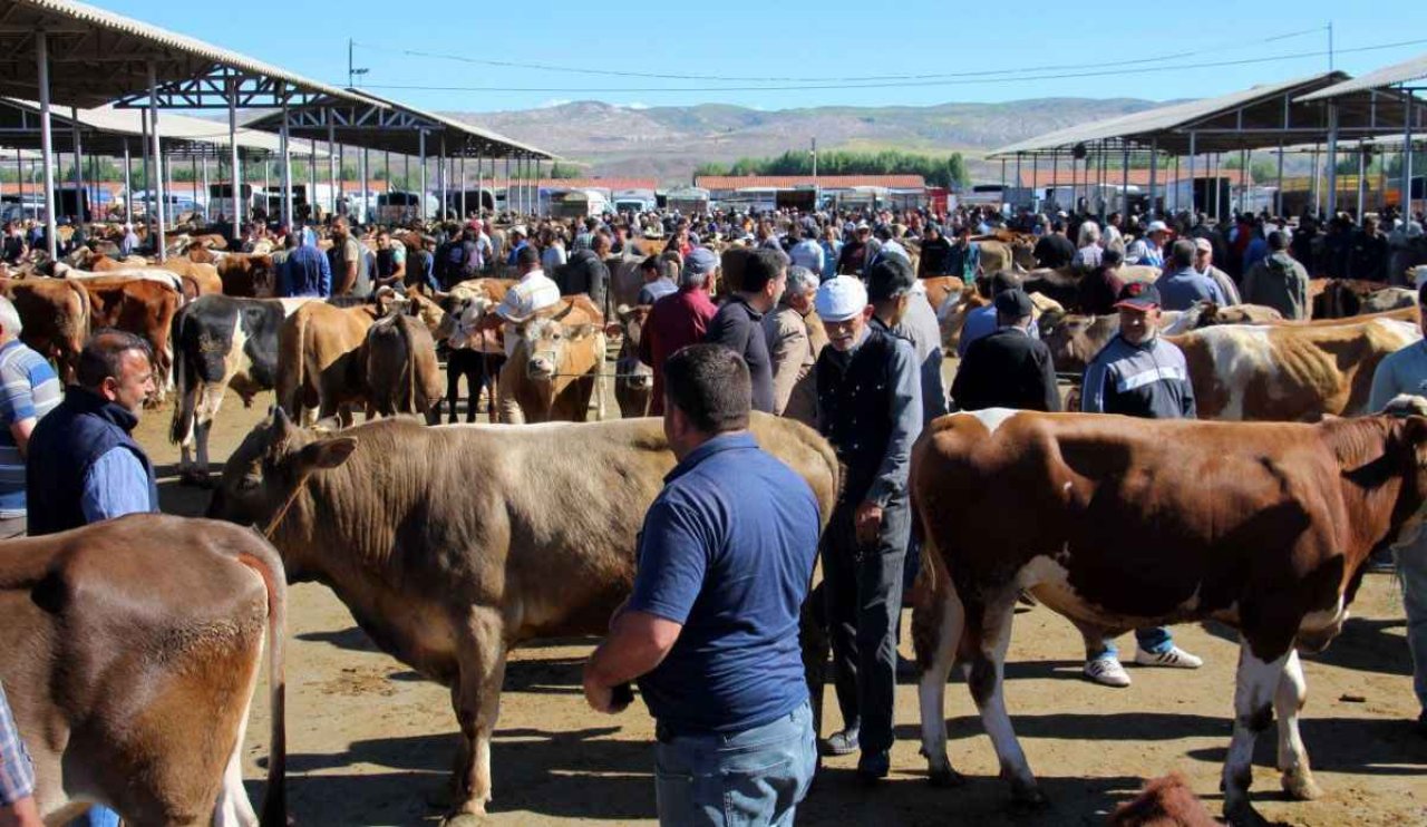 Konya’da alarm!  Bu hayvan pazarı kapatıldı