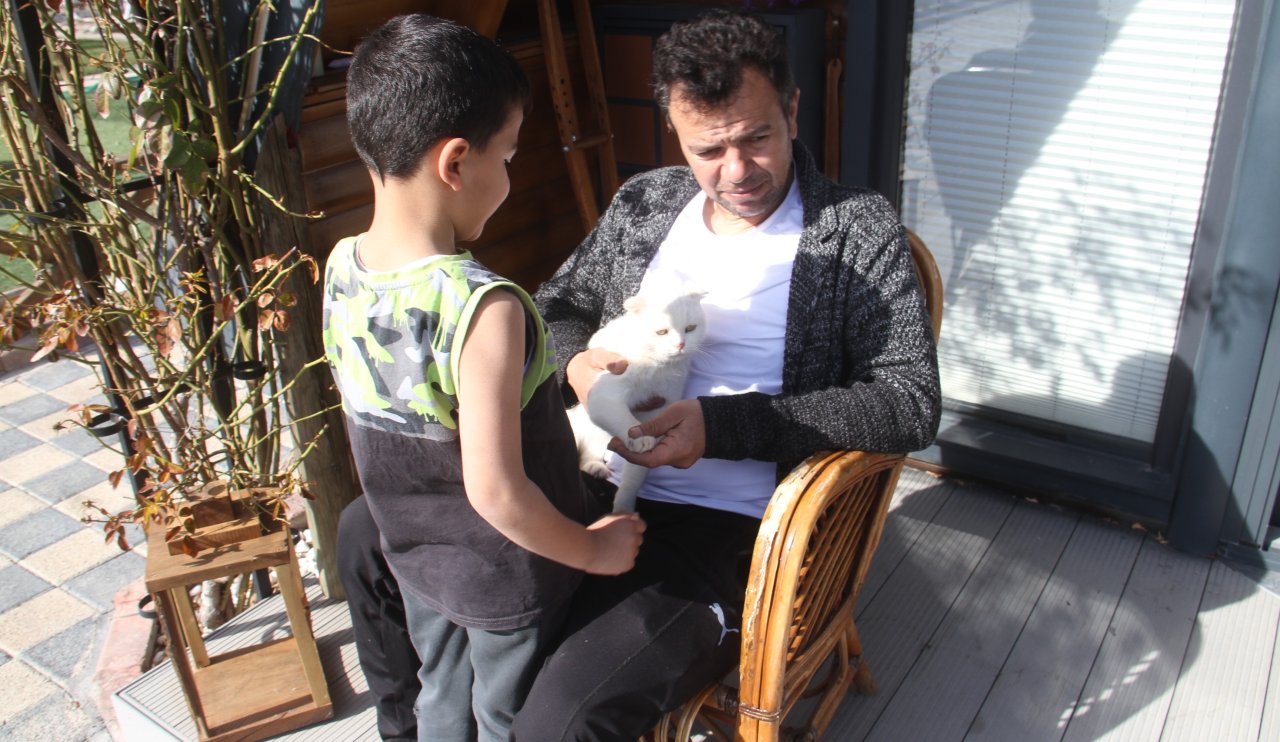Konya'da kayıp sandıkları kedi sokak köpekleri tarafından parçalandı
