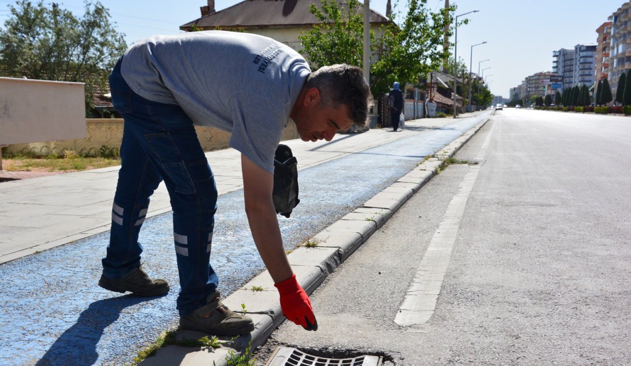 Yaz Yaklaştı, Çalışmalar Hızlandı! Konya’da Haşereyle Mücadele Sürüyor