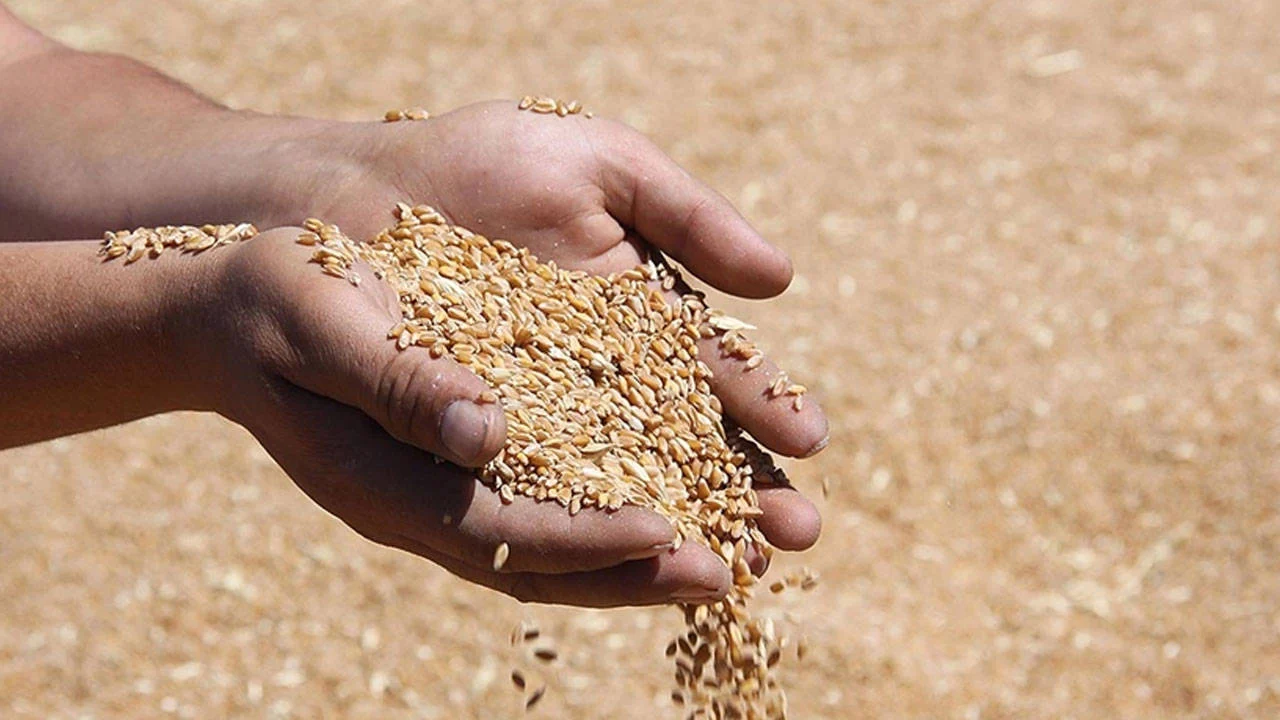 2025 hububat alım fiyatları açıklandı!