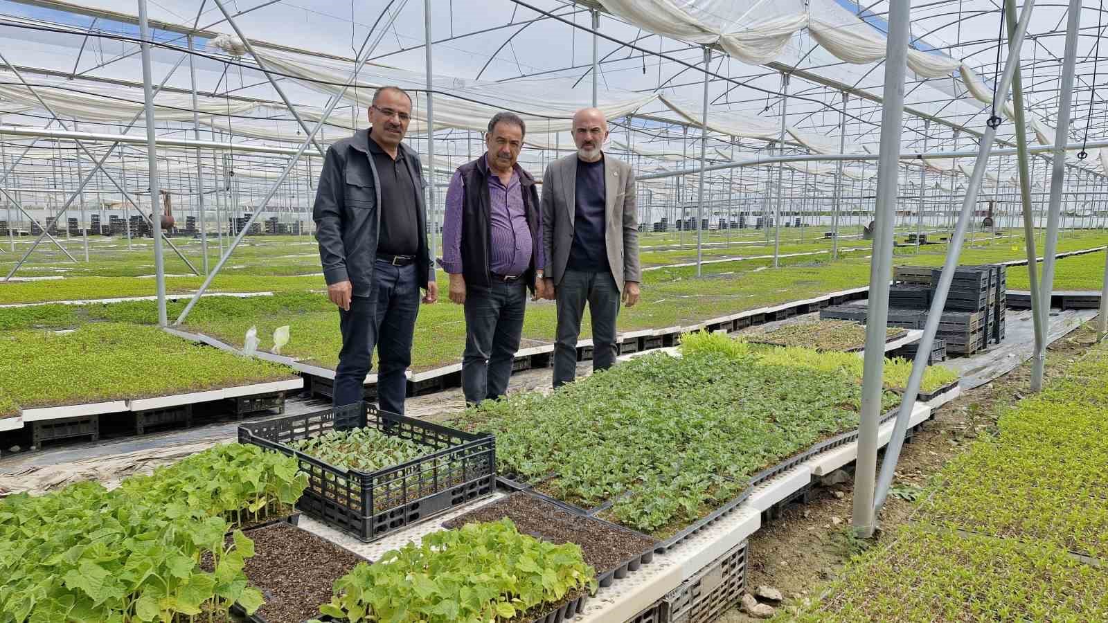 5 Milyon Fideyle Konya Ovası’nı Yeşerten Adam!