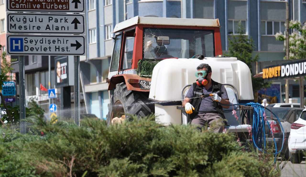 Seydişehir’de Kenelere Karşı Yoğun Mücadele Başladı