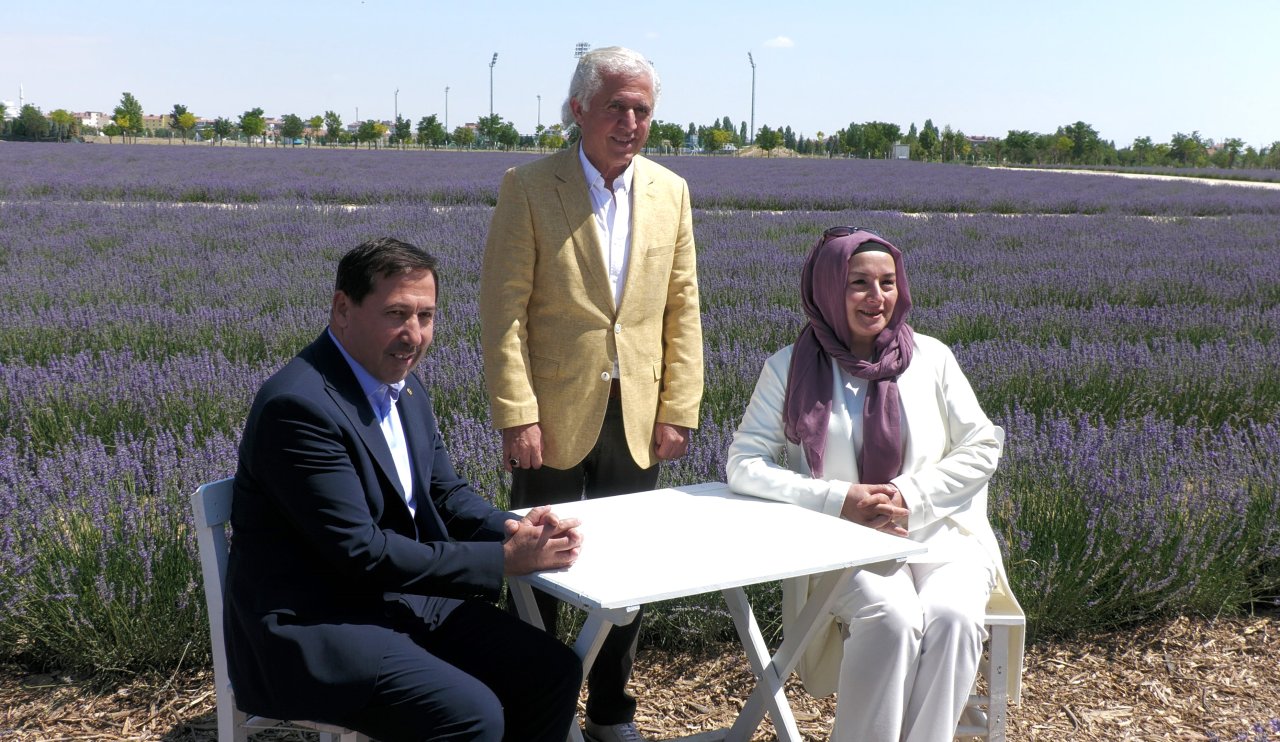 Yazar Fatma Şeref Polat: “Lavanta Kokusu, Hafif Esen Rüzgar ve Rengarenk Mor Tarlalar"