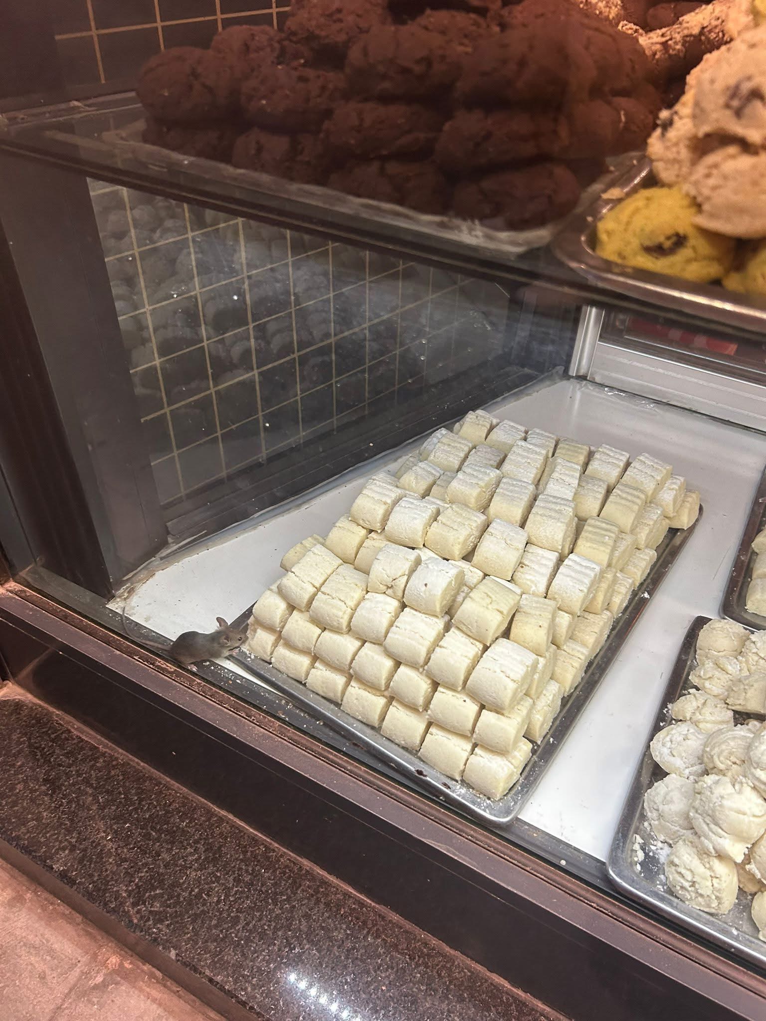 Konya’daki fırında skandal görüntü! Görenler gözlerine inanamadı