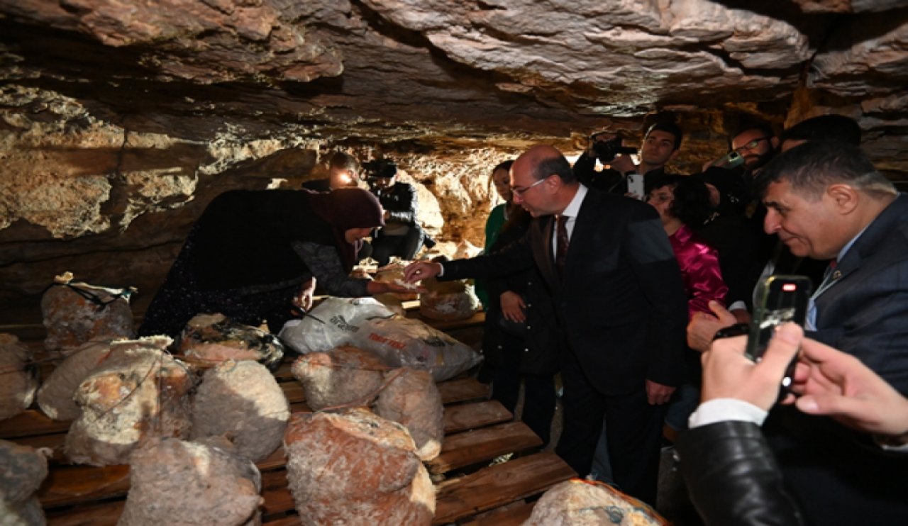 peynir-ilk-hasat.jpg