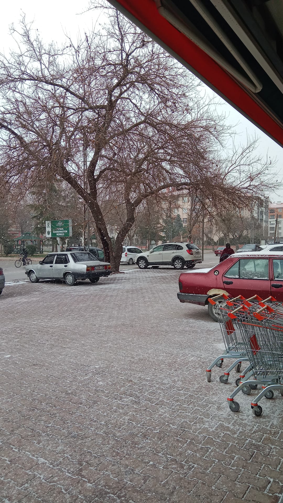 87dee690-0ada-469a-90a7-e1b45d0c55c6.jpeg